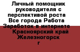 Личный помощник руководителя с перспективой роста - Все города Работа » Заработок в интернете   . Красноярский край,Железногорск г.